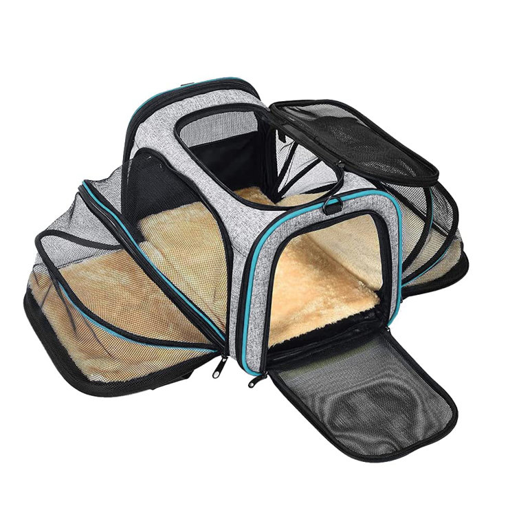 Hard sided pet shop carrier airline approved